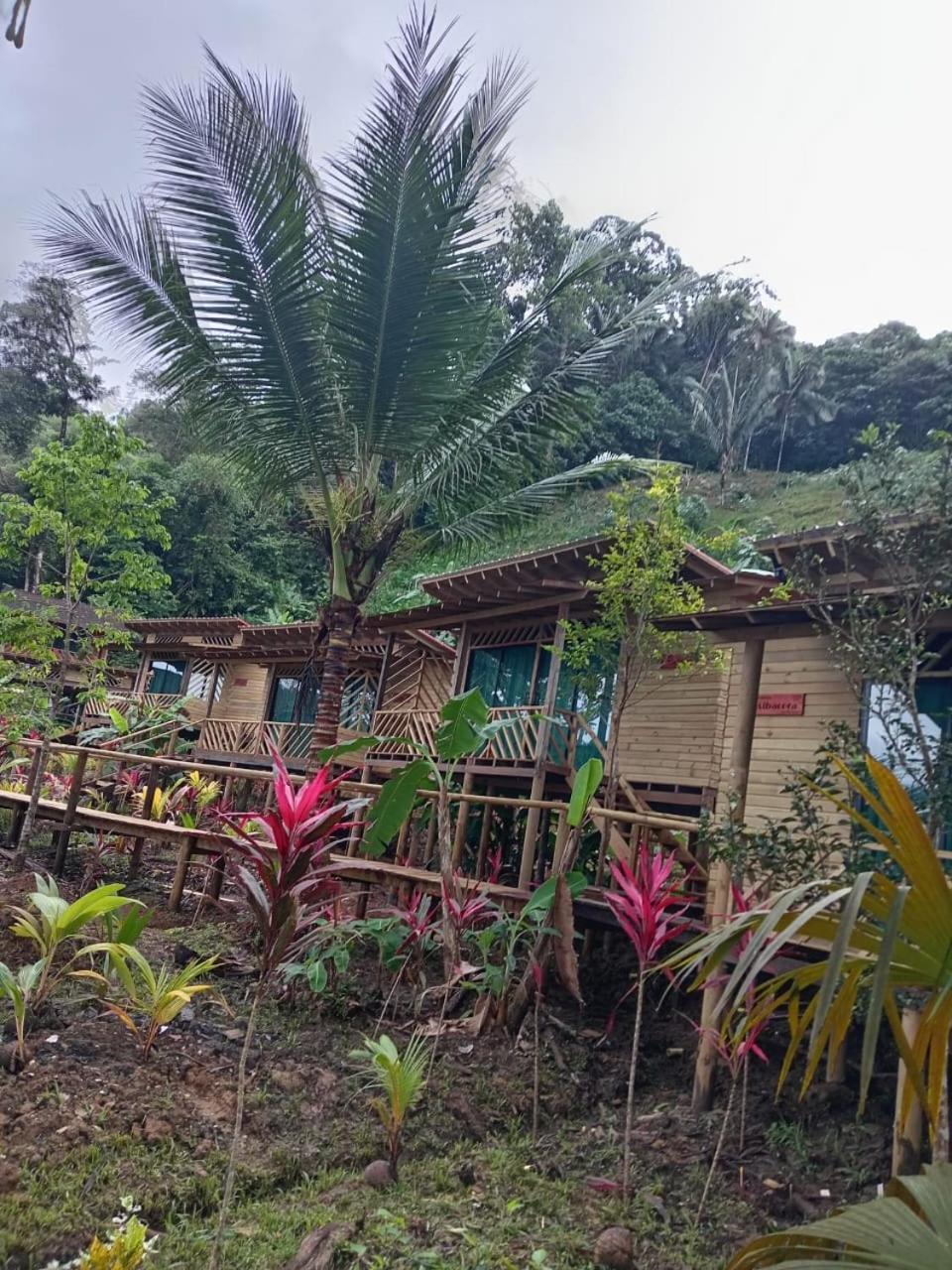 Pacific Nuqui Lodge Εξωτερικό φωτογραφία